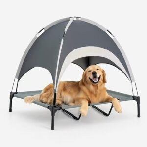 Outdoor Elevated Dog Bed with Canopy Large Sized Dog, 48" Grey